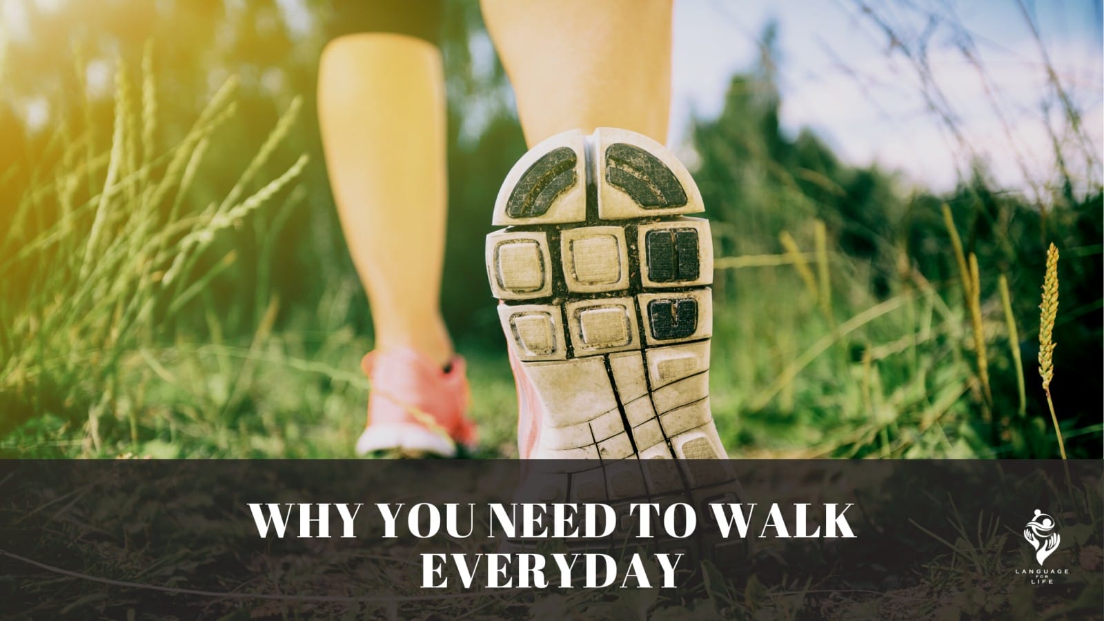 Walk everyday, Why you need it ?