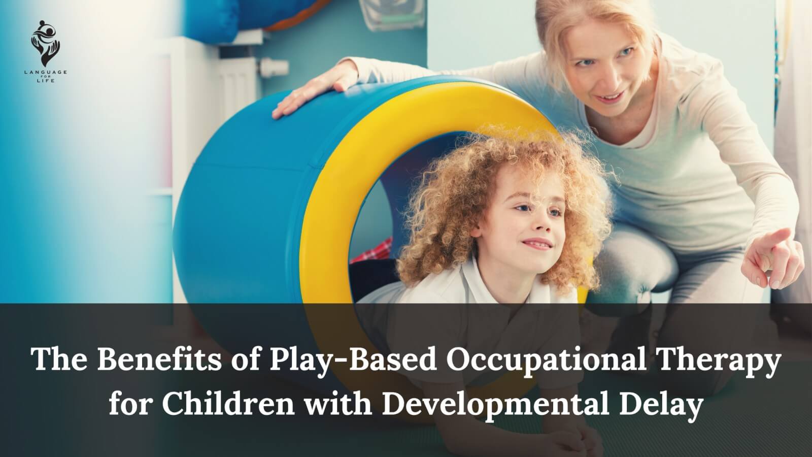 PlayBased Occupational Therapy for Children Language for Life